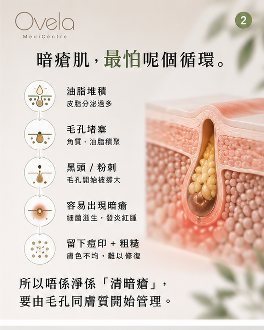 Herb Regeneration Peeling 草本再生煥膚